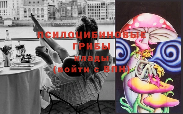 дживик Белоозёрский