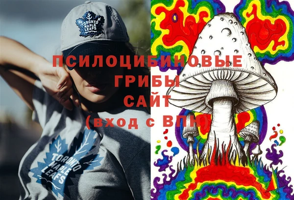 соль курить ск Белокуриха