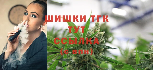 альфа пвп Снежногорск