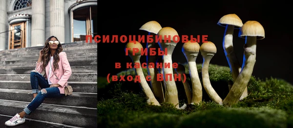 mdpv Беломорск
