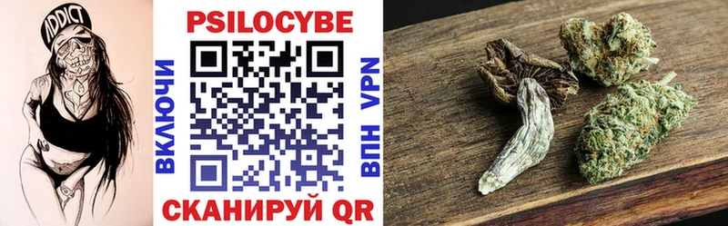 Псилоцибиновые грибы Psilocybine cubensis  Кунгур 