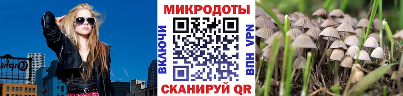 Галлюциногенные грибы Cubensis Кунгур